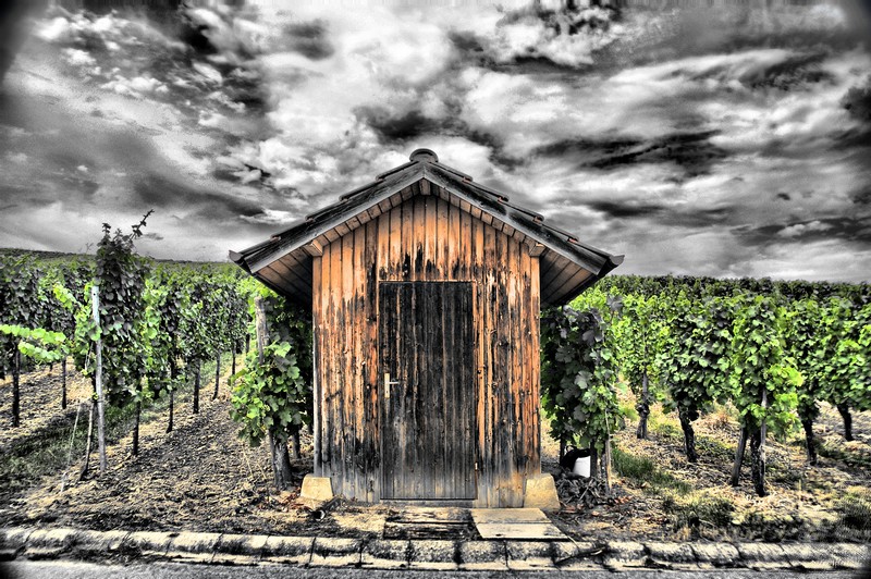 Cottage in wineyards