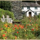 cottage near loughrigg tarn