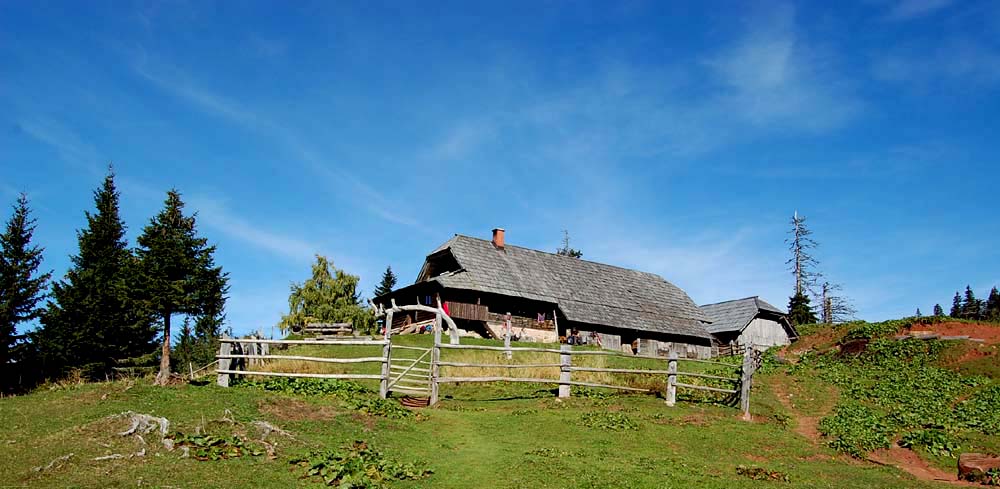 Cottage on the Korošica meadow