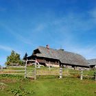 Cottage on the Korošica meadow