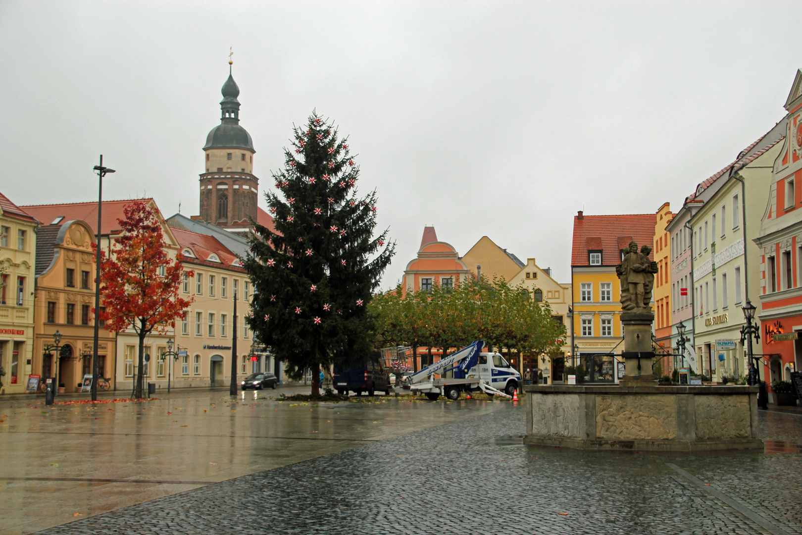 Cottbus, Altmarkt: Der Weihnachtsbaum steht