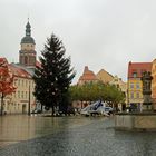 Cottbus, Altmarkt: Der Weihnachtsbaum steht