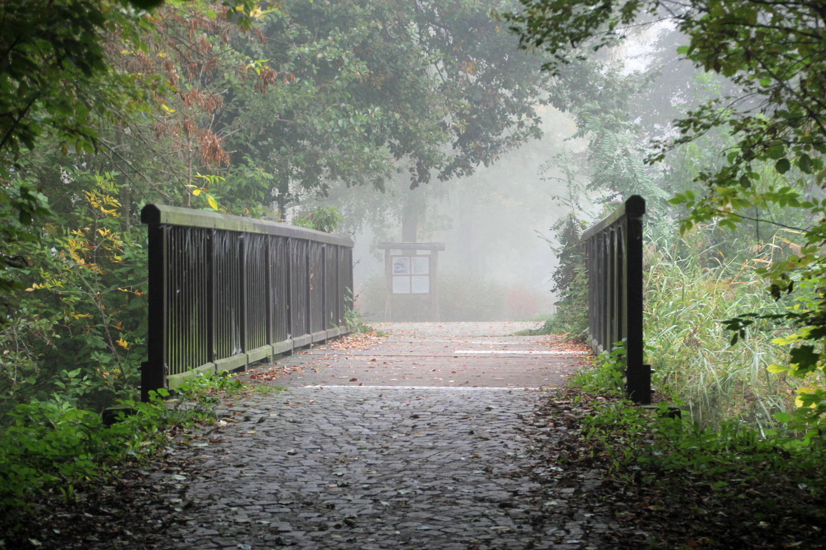 Cottbus am heutigen Morgen: Der Weg zur Spreewehrmühle