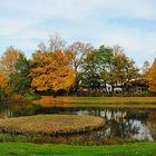 Cottbus Amtsteich Panorama