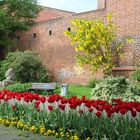 Cottbus: An der Stadtmauer