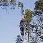 Cottbus: Auf dem Hermannsberg des Branitzer Parkes