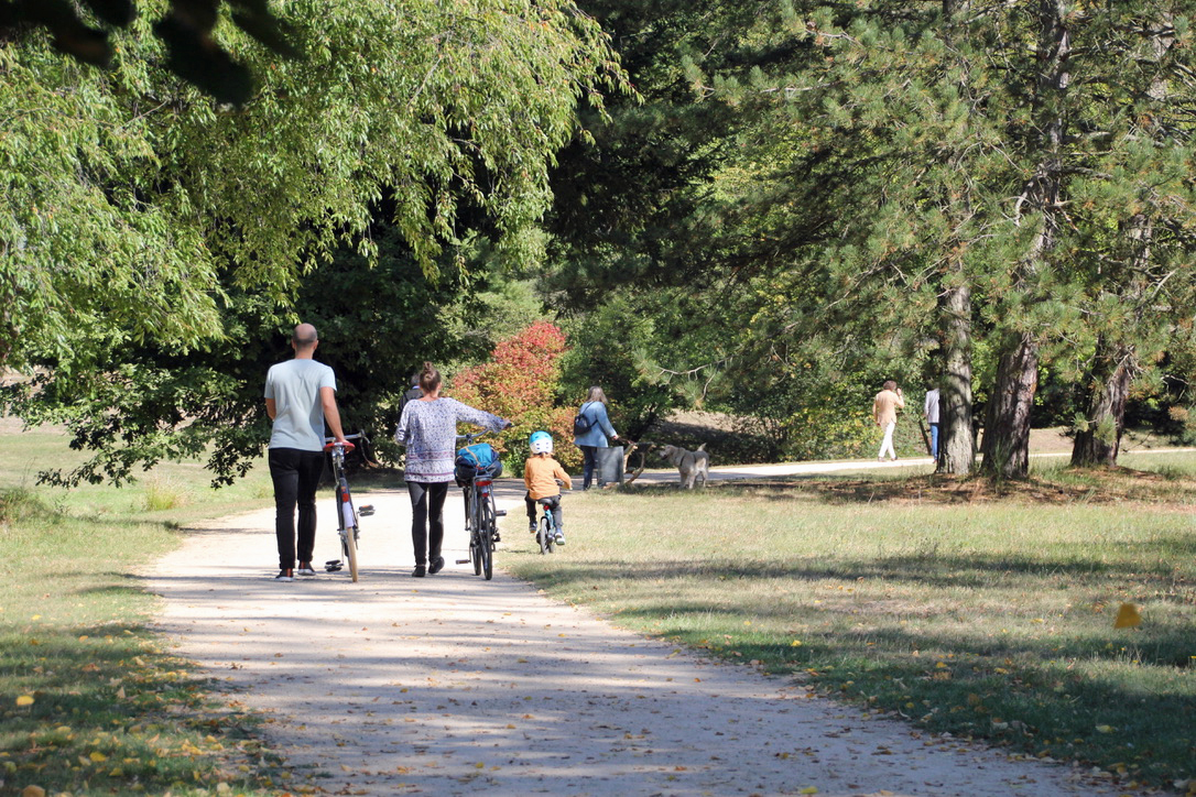 Cottbus: Besucher im Branitzer Park