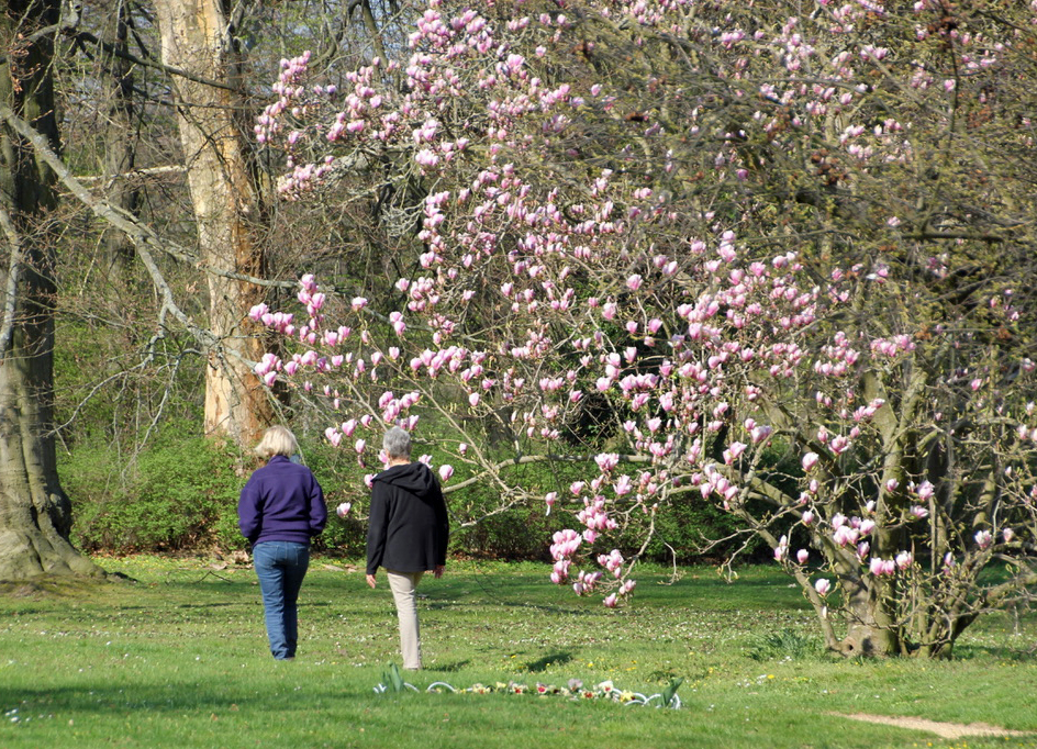 Cottbus: Branitzer Park