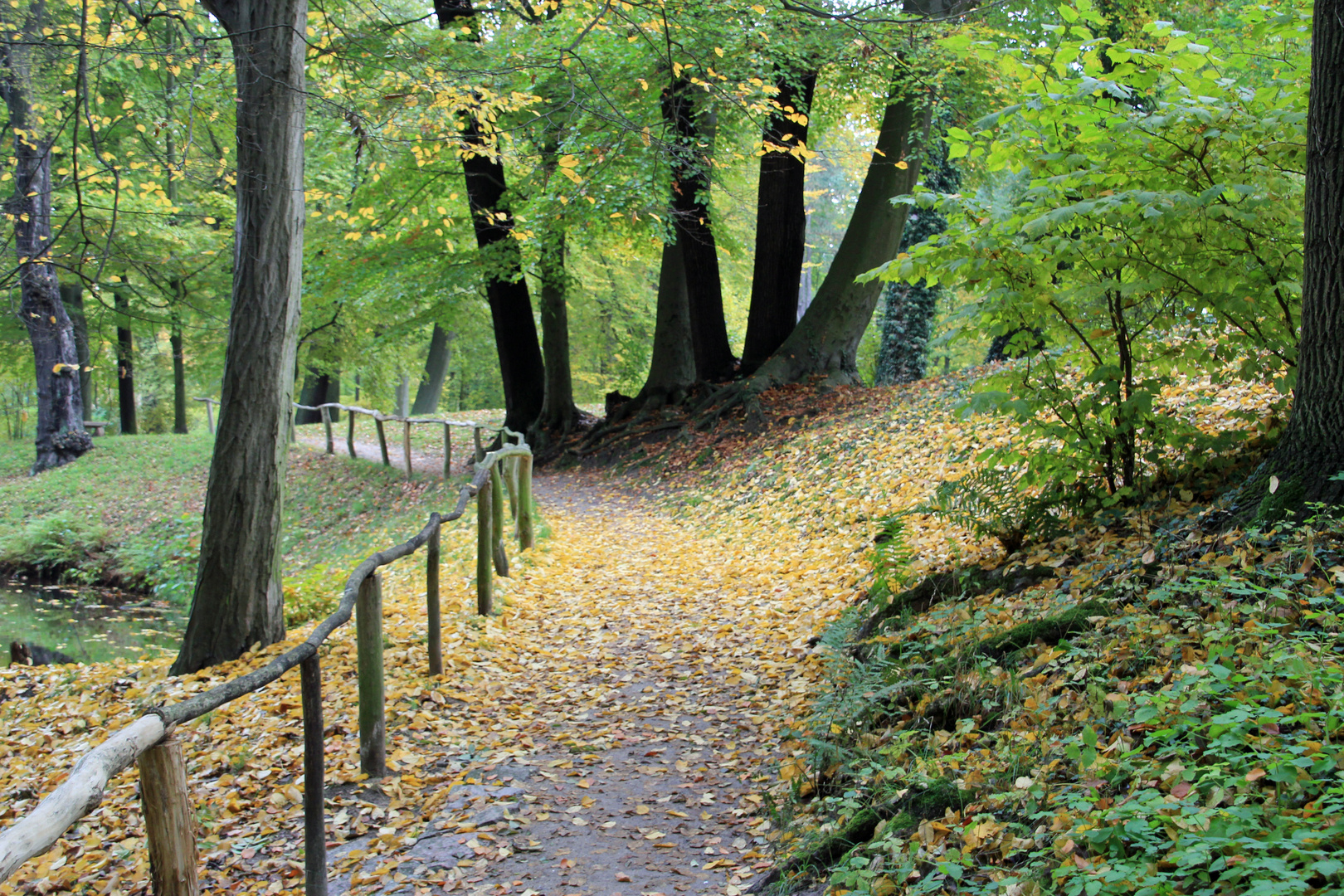 Cottbus, Branitzer Park: Am gestrigen Morgen