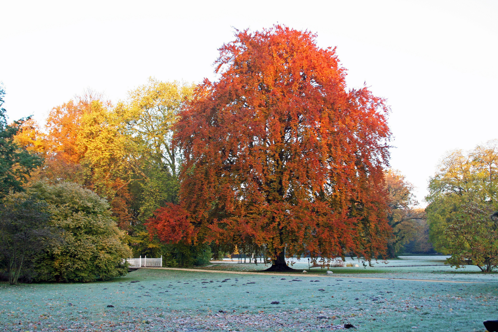 Cottbus, Branitzer Park: Am "reifen" Dienstag / 1