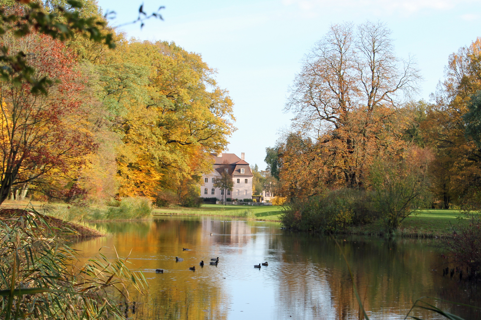 Cottbus, Branitzer Park: Blick vom Kugelberg über den Schilfsee zum Schloss