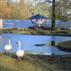 Cottbus, Branitzer Park: Das Gewächshaus vor dem Schneefall