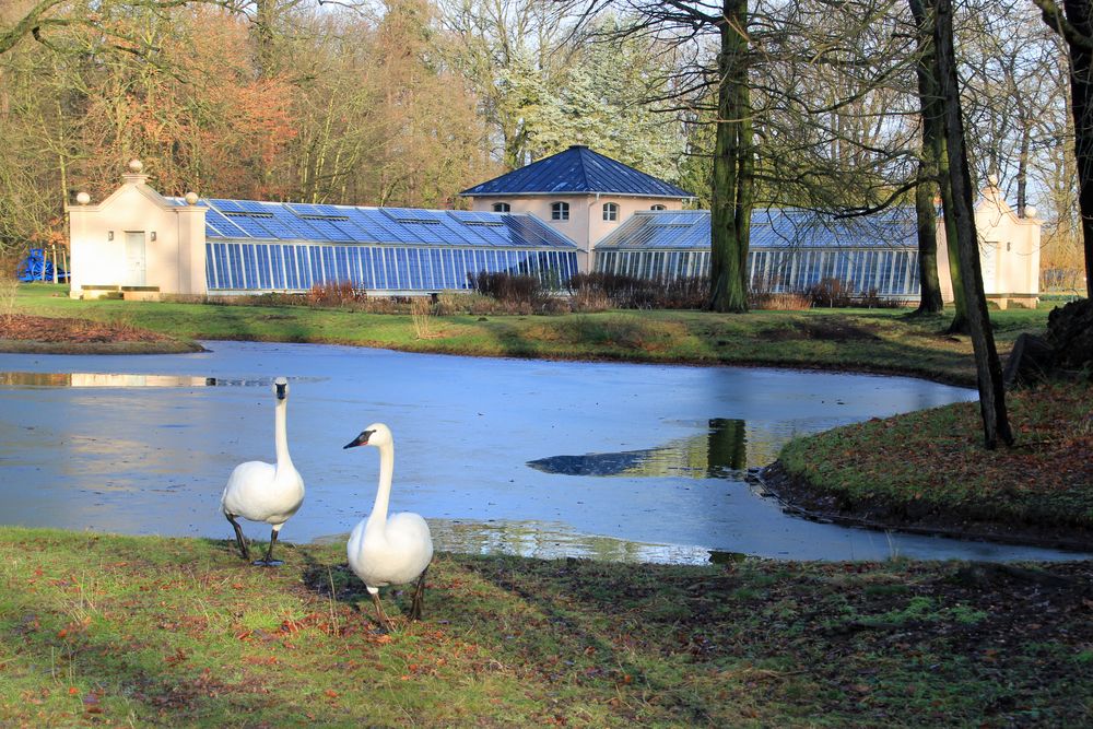Cottbus, Branitzer Park Das Gewächshaus vor dem Schneefall Foto & Bild