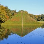 Cottbus, Branitzer Park: Der neu angepflanzte Wein färbt sich langsam rot