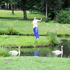 Cottbus, Branitzer Park: Die Venus Capua im Schlosssee