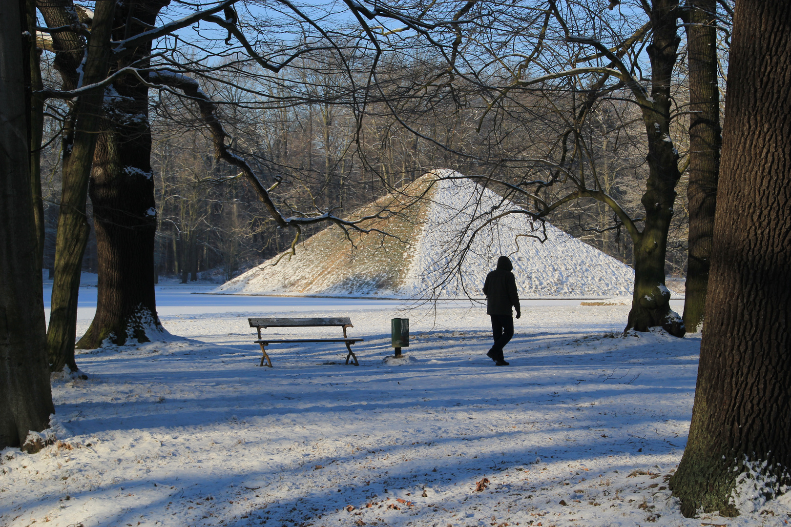 Cottbus, Branitzer Park: Einsamer Spaziergänger