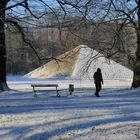 Cottbus, Branitzer Park: Einsamer Spaziergänger