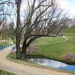 Cottbus, Branitzer Park, gestern: Ein klarer, kühler und sonniger Tag