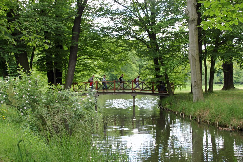 Cottbus, Branitzer Park Parkbesucher Foto & Bild