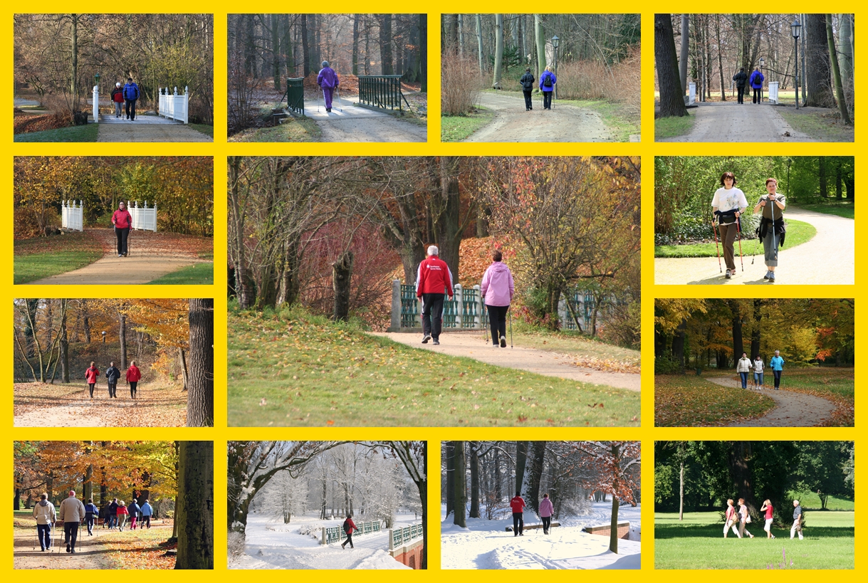 Cottbus, Branitzer Park: Parkläufer