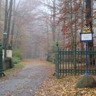 Cottbus, Branitzer Park, Torhaus: Tritt ein in den herbstlich-nebligen Park