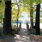 Cottbus, Branitzer Park: Über diese Brücke musst du gehen!