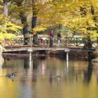 Cottbus, Brücke im Branitzer Park