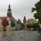 Cottbus: Der Altmarkt bei Schmuddelwetter