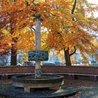 Cottbus: Der Tuchmacherbrunnen im Herbst