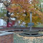 Cottbus: Der Tuchmacherbrunnen im Nebel