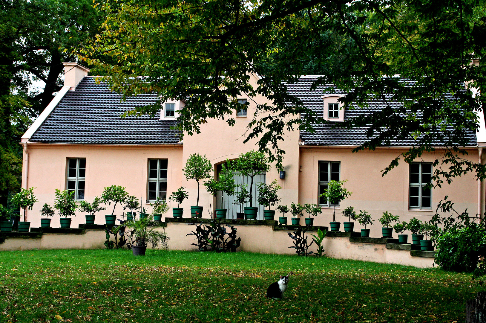 Cottbus: Die Orangerie im Branitzer Park