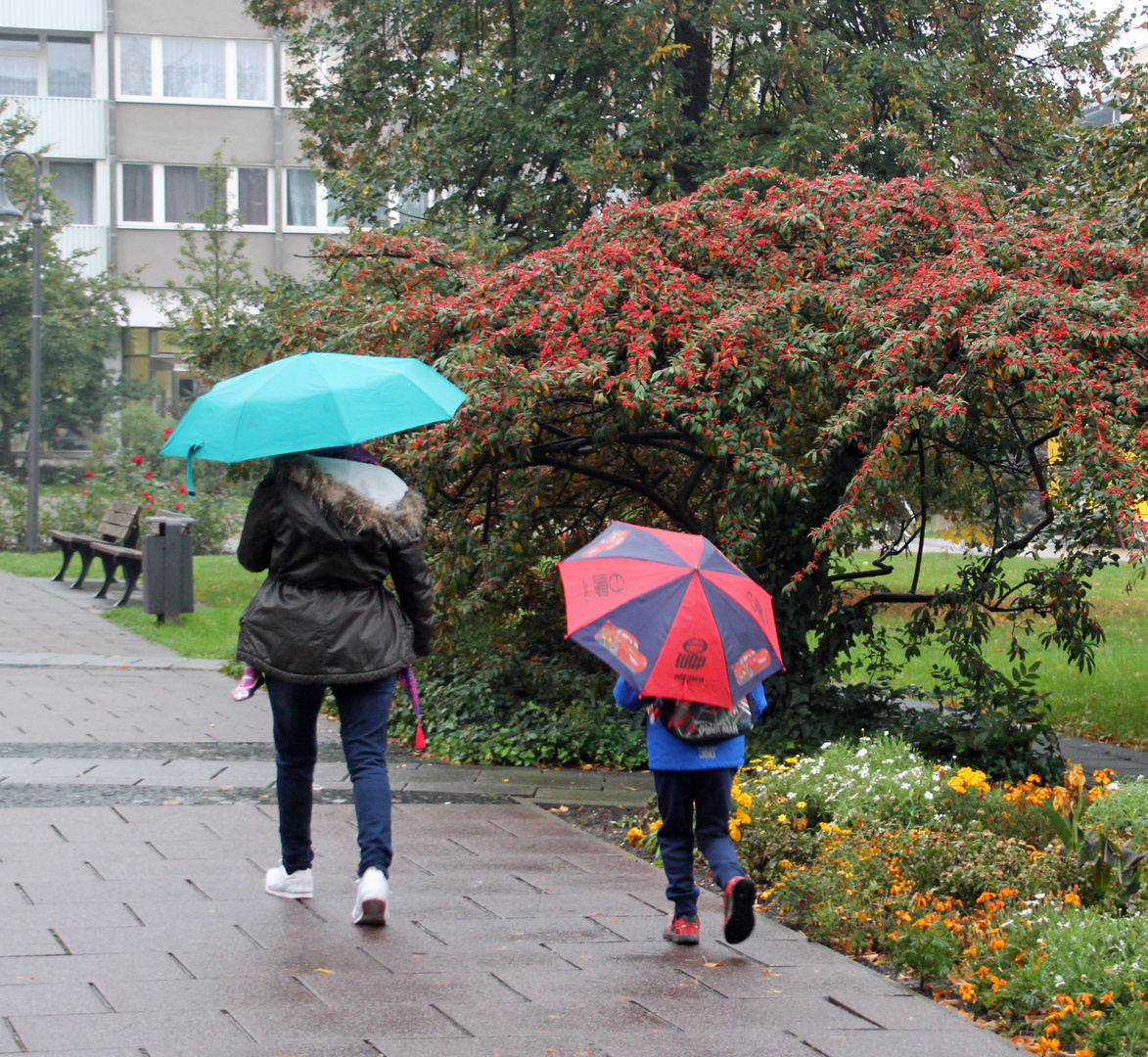 Cottbus heute: Schirmtag / 3