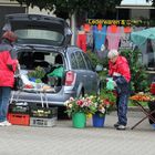 Cottbus, heute zwischen 8.00 und 8.30 (7)