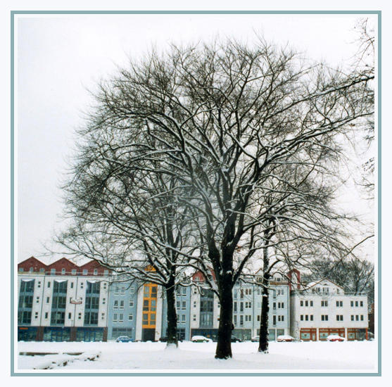 Cottbus im Winter