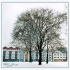 Cottbus im Winter