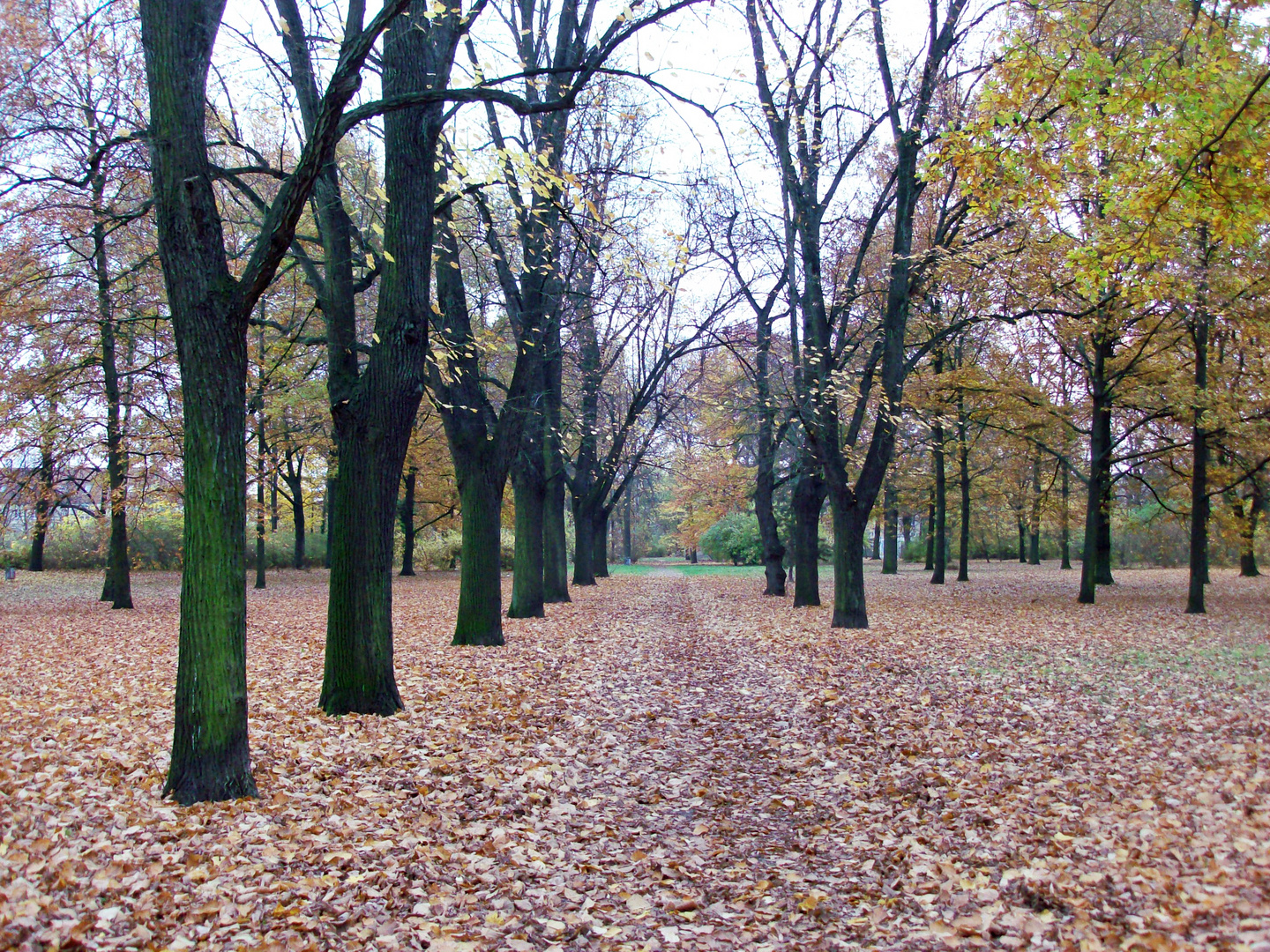 Cottbus Sandow: Der ehemalige Sandower Friedhof