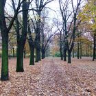 Cottbus Sandow: Der ehemalige Sandower Friedhof