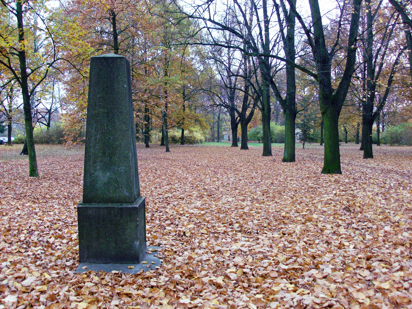 Cottbus, Sandow: Der vergessene Friedhof