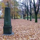 Cottbus, Sandow: Der vergessene Friedhof