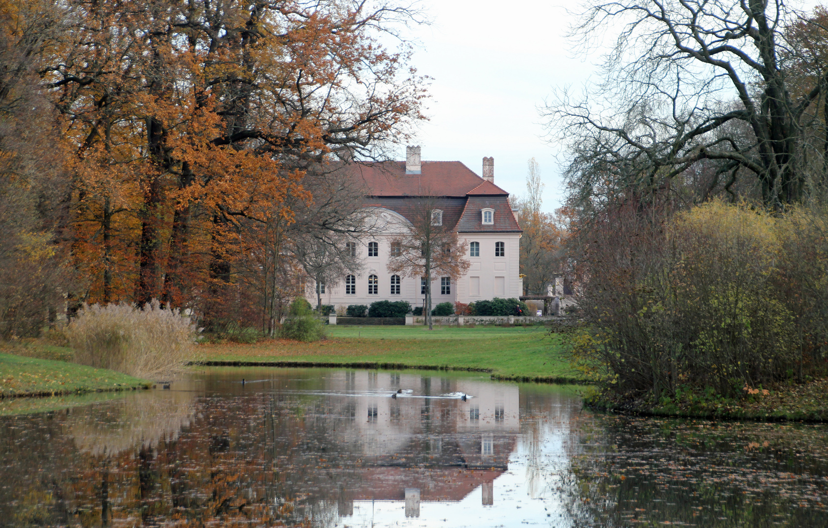 Cottbus: Schloss Branitz im Schlosssee gespiegelt