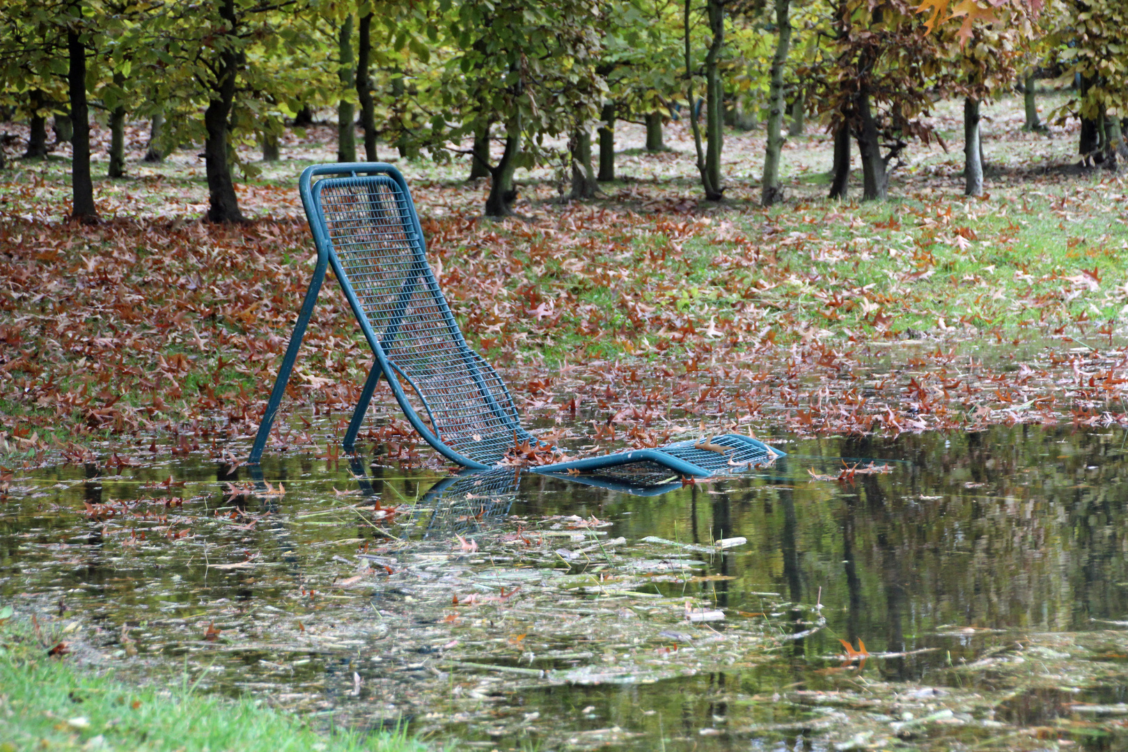 Cottbus, Spreeauenpark: Nach den Regentagen