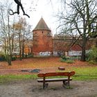 Cottbus: Stadtmauer mit Münzturm.