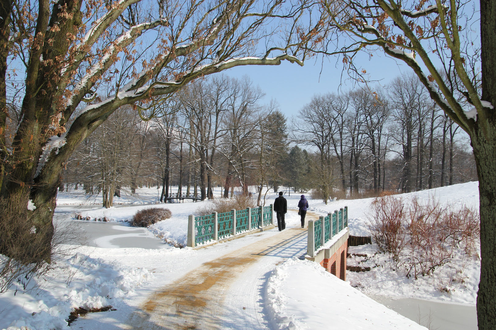 Cottbus: Vor einigen Jahren im Branitzer Park