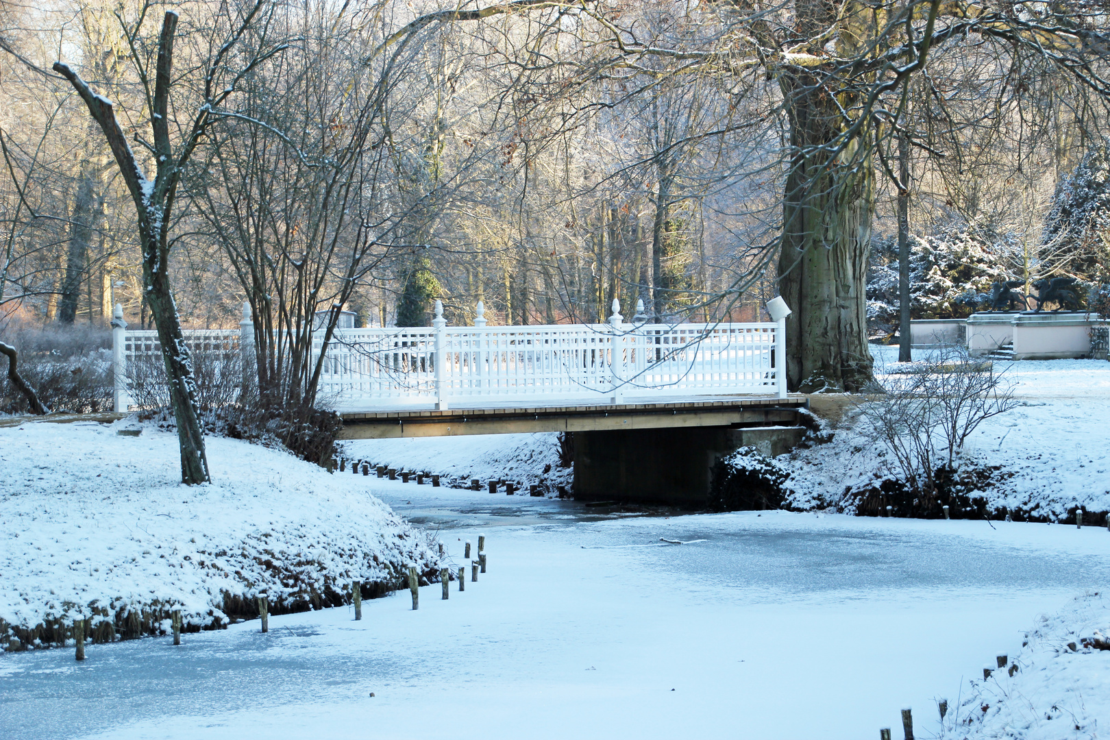 Cottbus: Winter im Branitzer Park