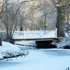 Cottbus: Winter im Branitzer Park