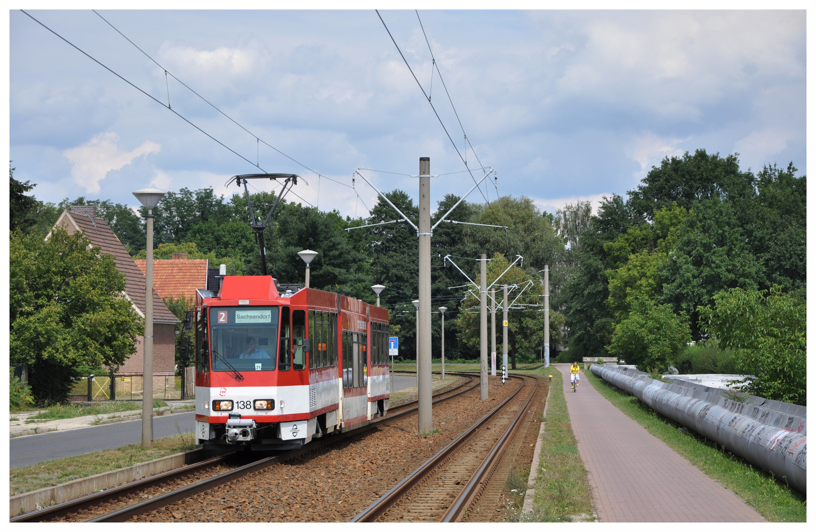 Cottbuser "Hängebauchschwein"