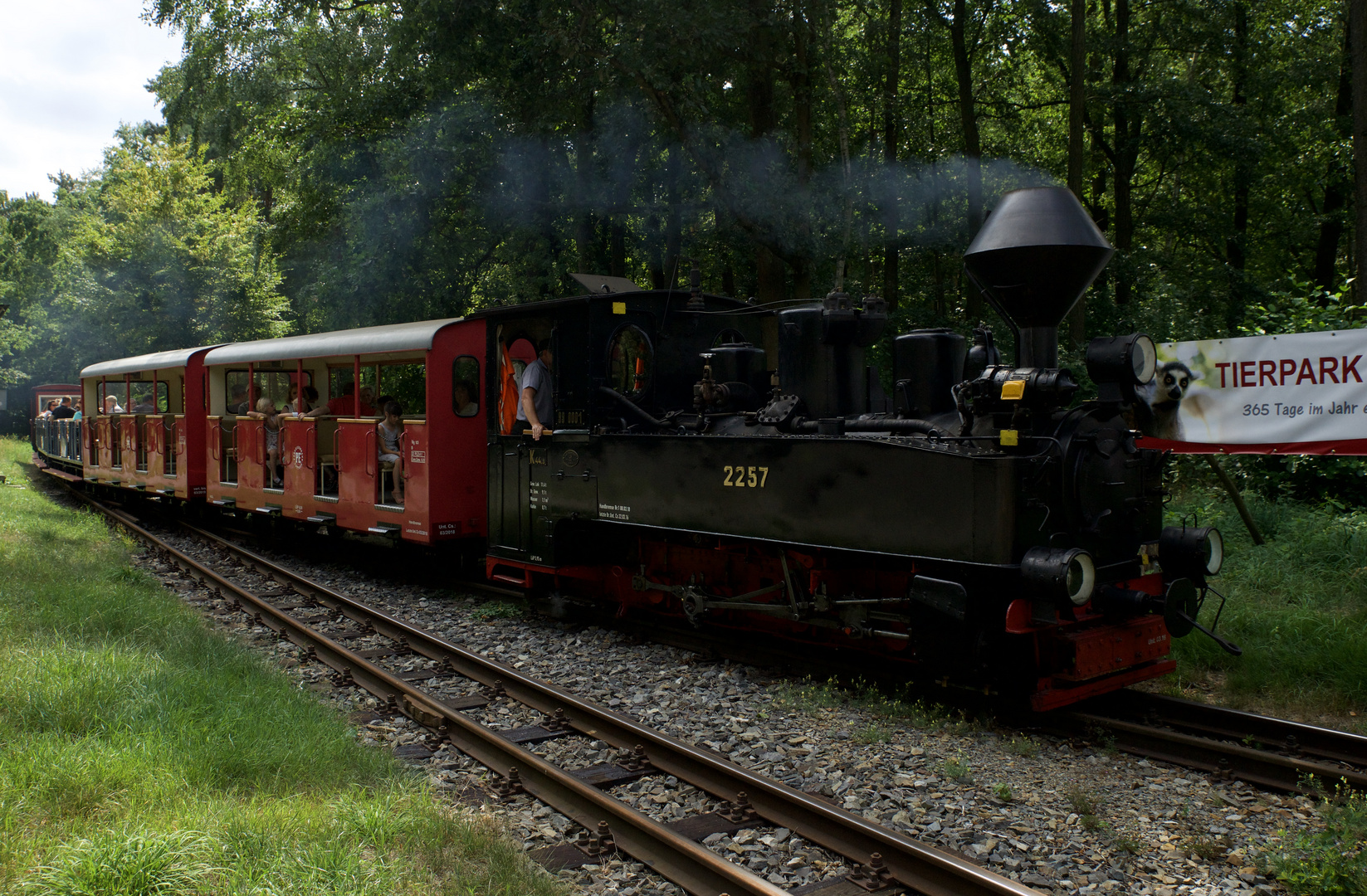 Cottbusser Parkeisenbahn unter Dampf