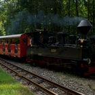 Cottbusser Parkeisenbahn unter Dampf