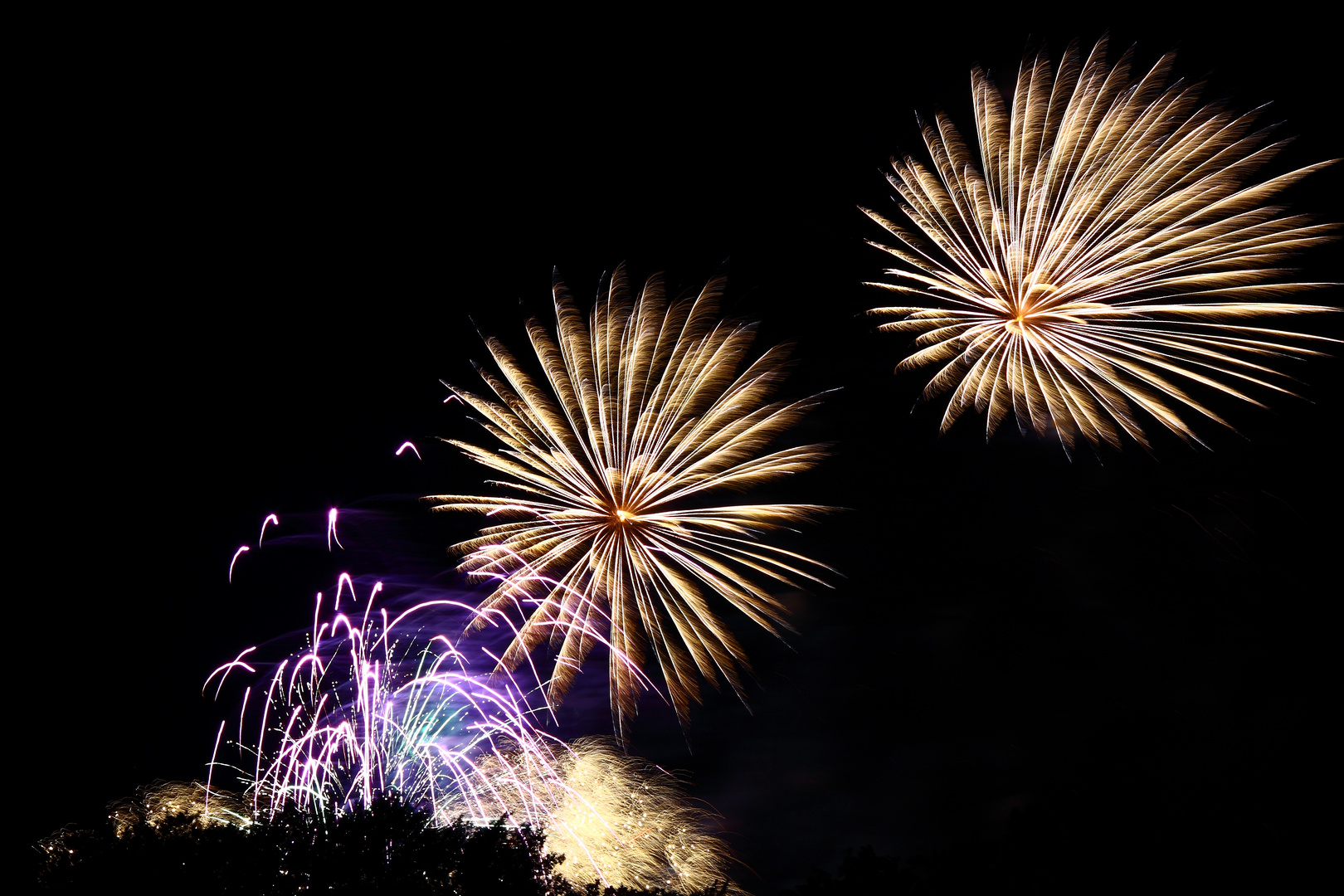 Cottbusser Spreeauennacht Feuerwerk