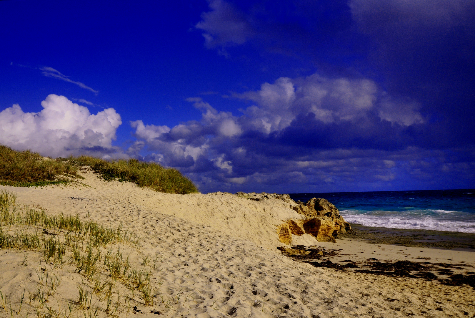 Cottesloe Dunes